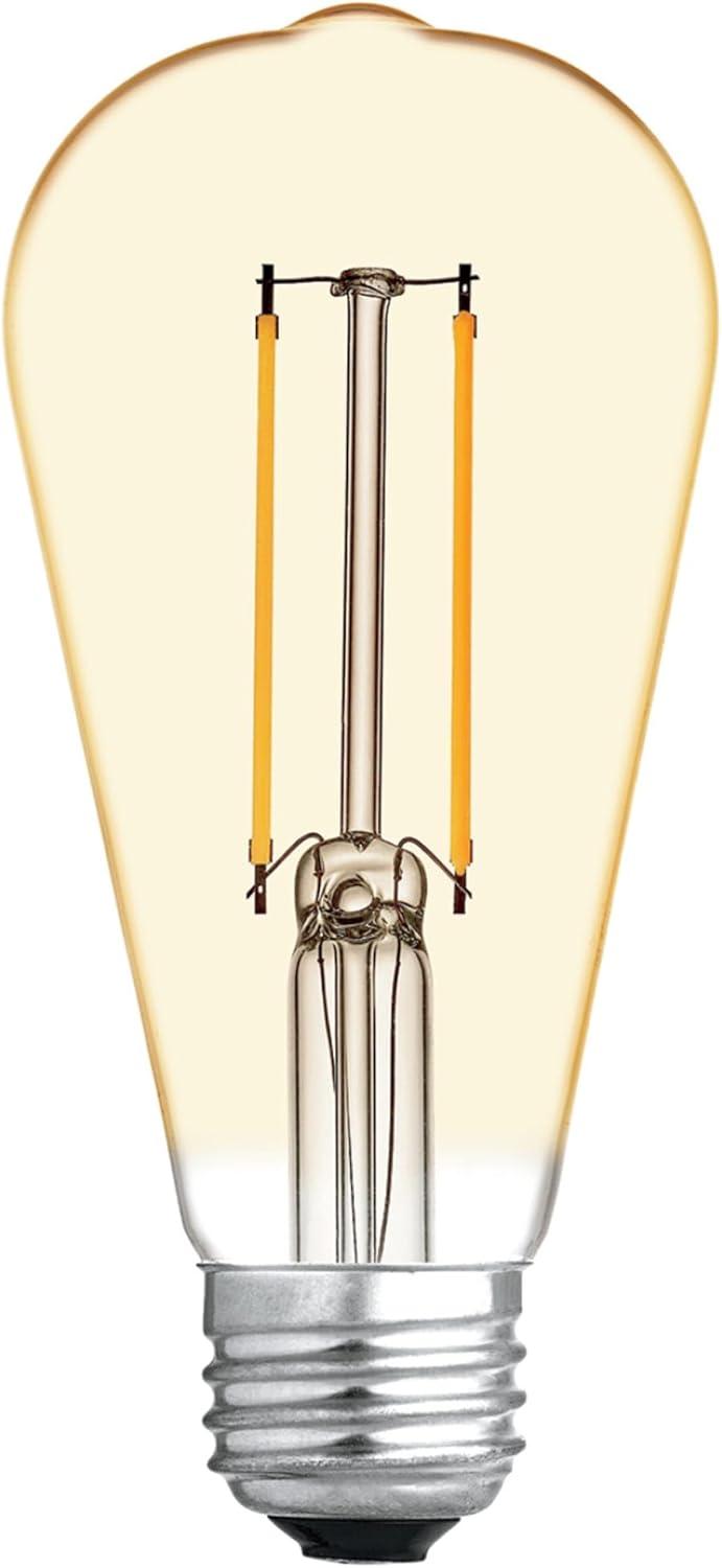 imageGE Vintage Style LED Light Bulbs 60 Watt Amber Finish ST19 Edison Style Bulbs 6 PackDecorative