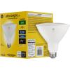 imageGE Ultra Bright LED Light Bulb 150 Watt Daylight PAR38 Outdoor Floodlight1 Count Pack of 1