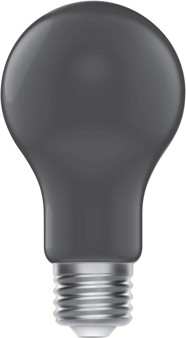 imageGE Blacklight Bulb Outdoor Party Light Glow Light A19 UV Black Light 6 Pack