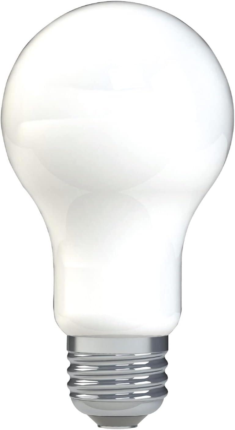 imageGE LED Light Bulbs 100 Watt Daylight A19 2 Pack2 Count Pack of 12